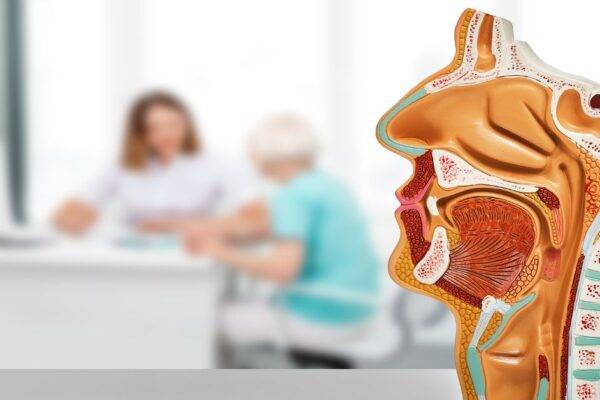 Why See an ENT Provider featured image
